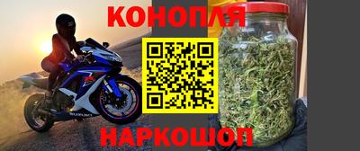 тгк Севастополь